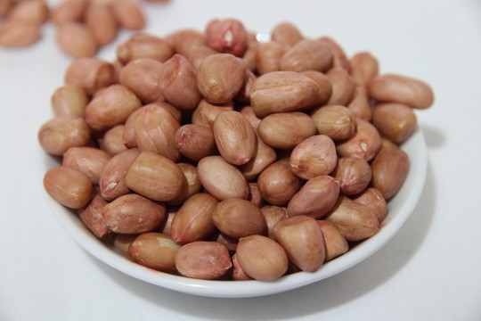花生豆