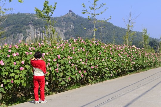 芙蓉峽