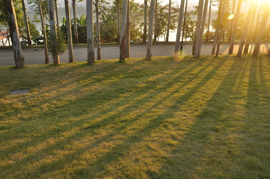 夕陽