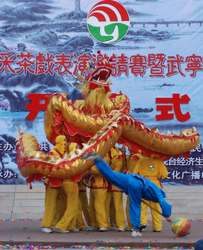 舞龍