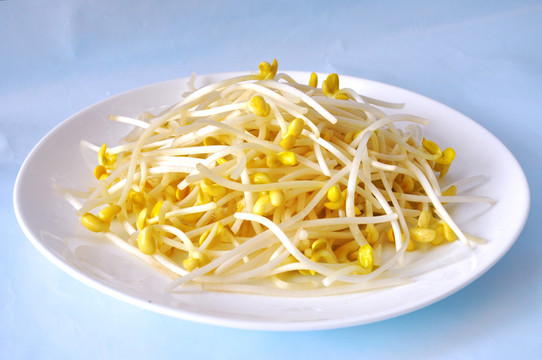 新鮮黃豆芽