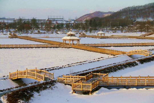 冰雪覆蓋的蓮花池