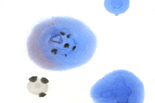 水墨畫(huà)蓮圖
