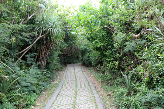 公園風(fēng)景