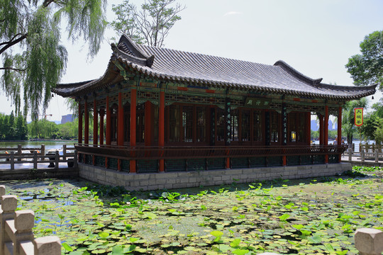 濟(jì)南大明湖公園