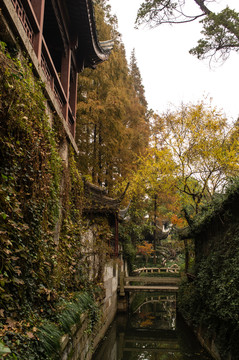 秋景 園林