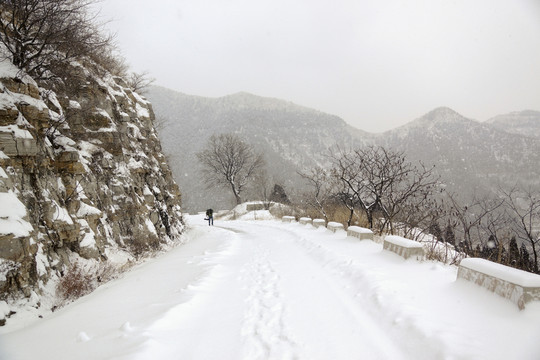 雪 道路
