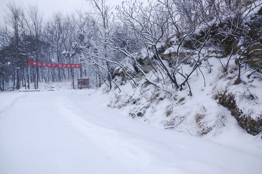 雪景