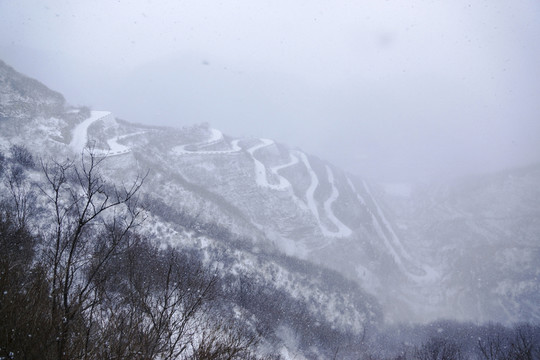 雪中仰天山九龍盤