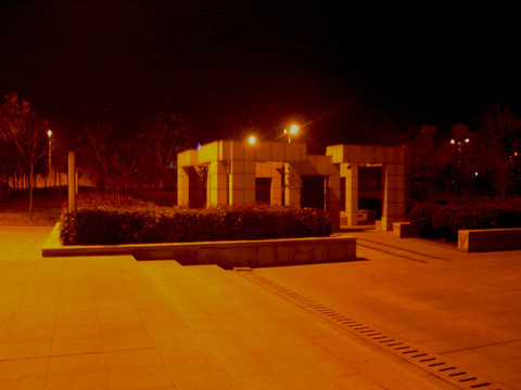 夜色公園