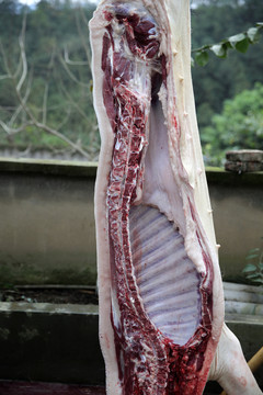 豬肉
