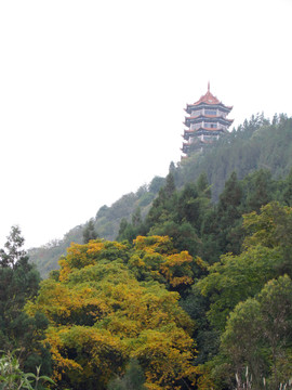 西山公園