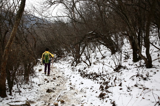 秦嶺山間