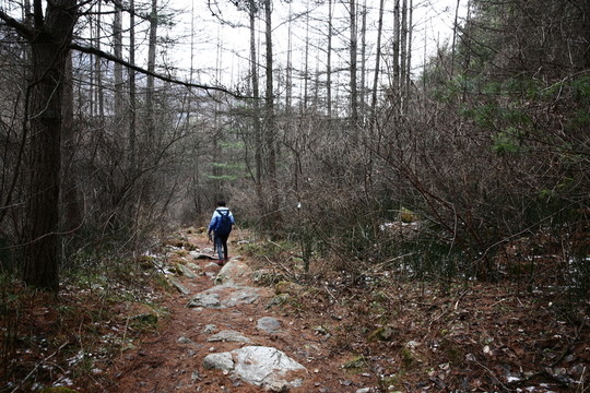 秦嶺山間
