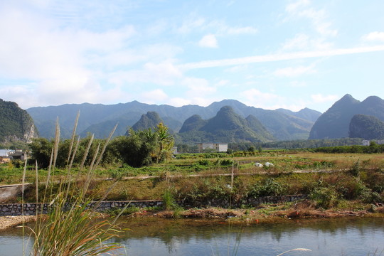 田園