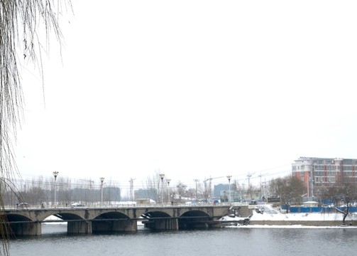 大橋 橋梁