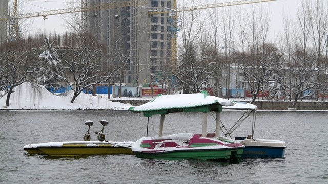 公園游船 劃船 公園風(fēng)景