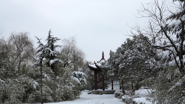 公園雪景