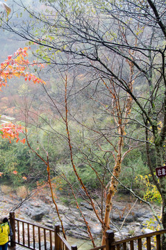 黃柏塬 景區(qū)