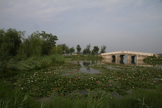 濕地公園