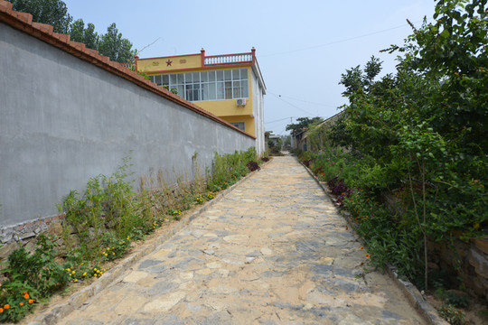 鄉(xiāng)村道路