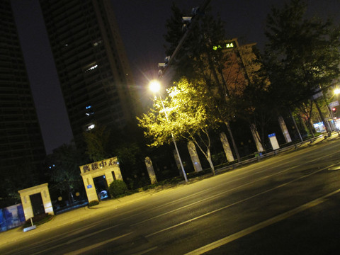 夜晚的路灯、树木和道路