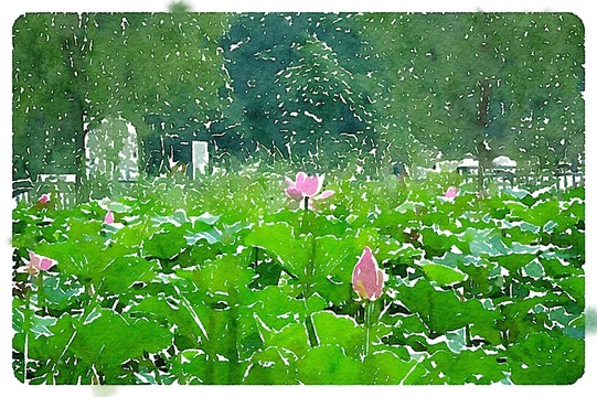 荷花池塘 裝飾水彩畫