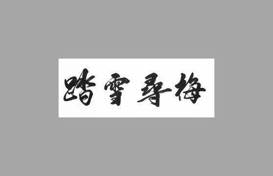 踏雪尋梅