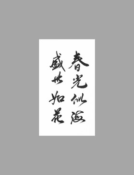 春光似海盛世如花