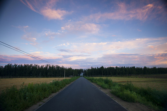 田野