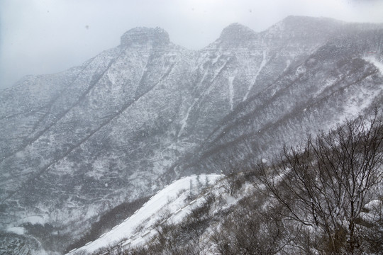 水墨雪中仰天山