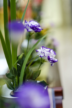 插花