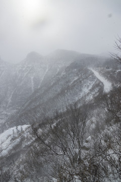 水墨雪中仰天山