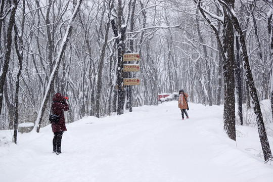 雪中風(fēng)景