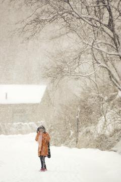 樹(shù)林 雪景 美女
