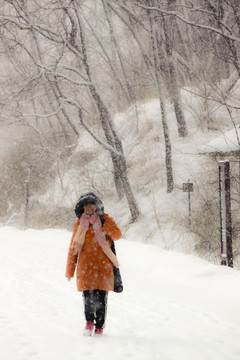樹林 雪景 美女
