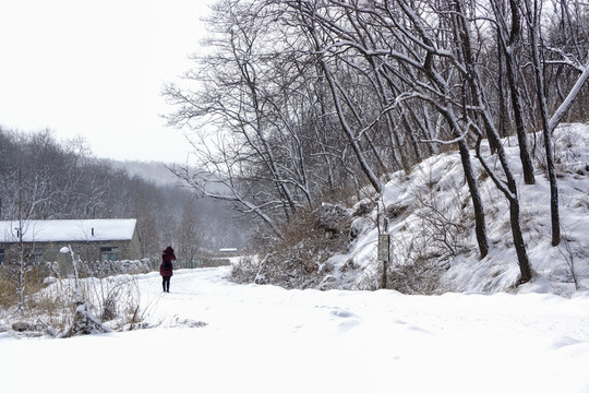雪景 人物 樹林