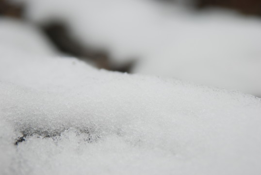 雪野