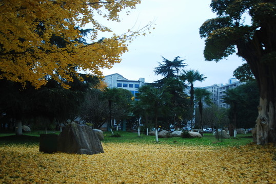 園林