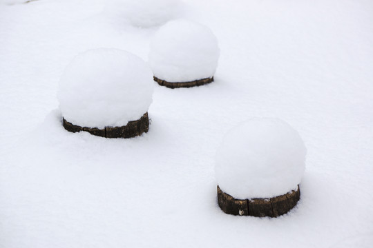 雪