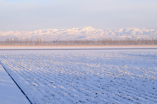 雪景