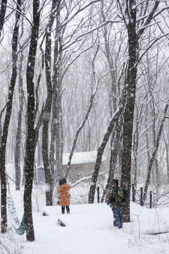 雪景 樹(shù)林 背影