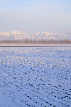 冬雪