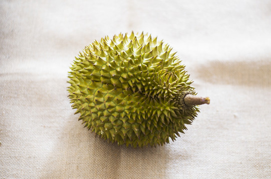 榴蓮