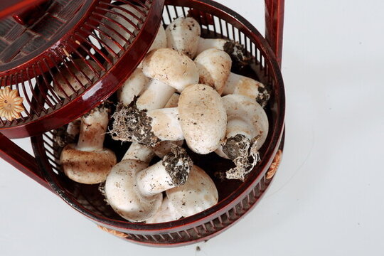新鮮蘑菇