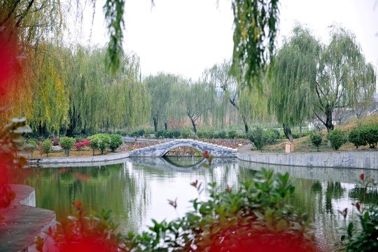 拱橋  小橋  園林風(fēng)景