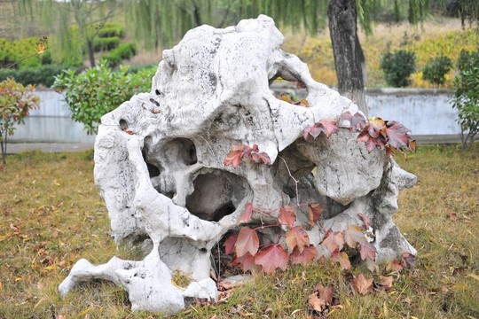 石頭