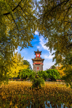 四川大學(xué)校園風(fēng)光