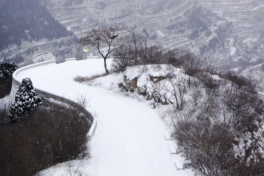 雪中仰天山