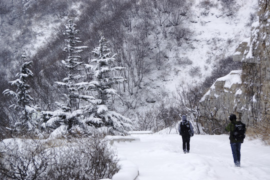 仰天山九龍盤雪景